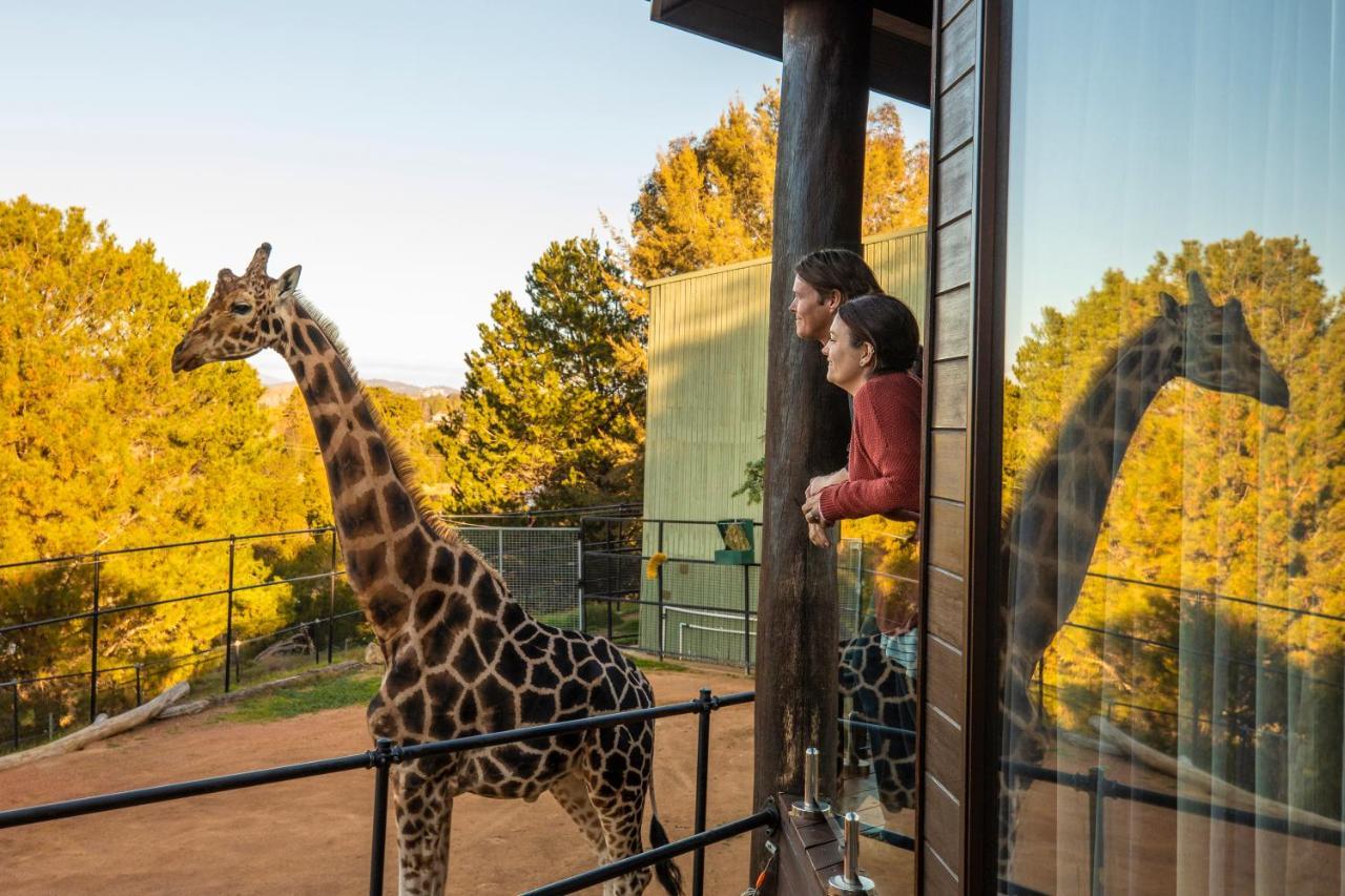 Jamala Wildlife Lodge Camberra Exterior foto